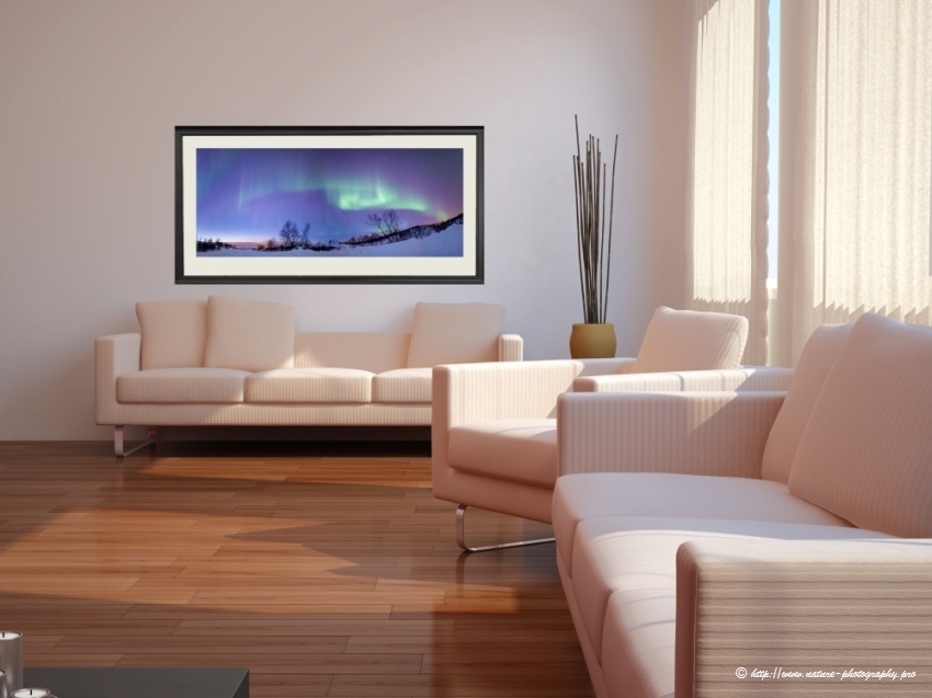 Interior Design 3.jpg